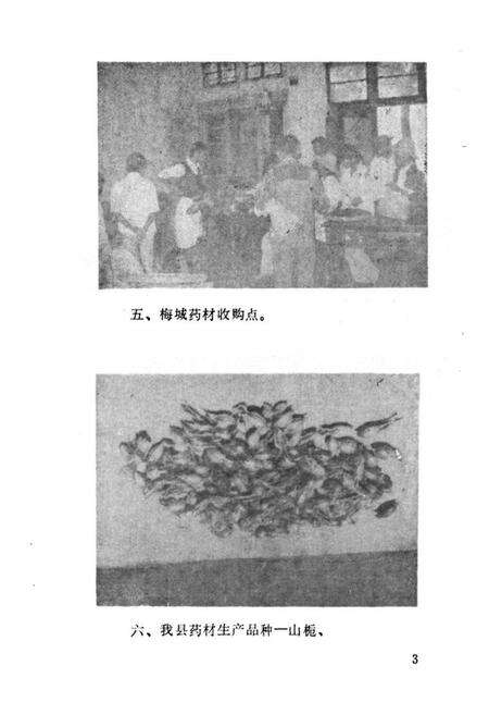 《《潜山县医药志》》.pdf_安徽省志预览图4