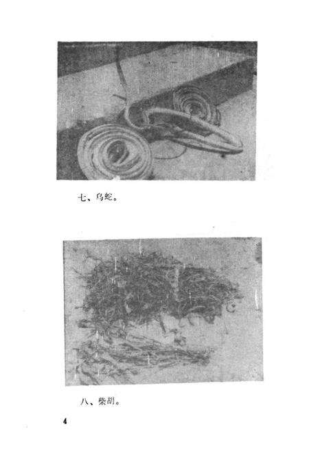 《《潜山县医药志》》.pdf_安徽省志预览图5