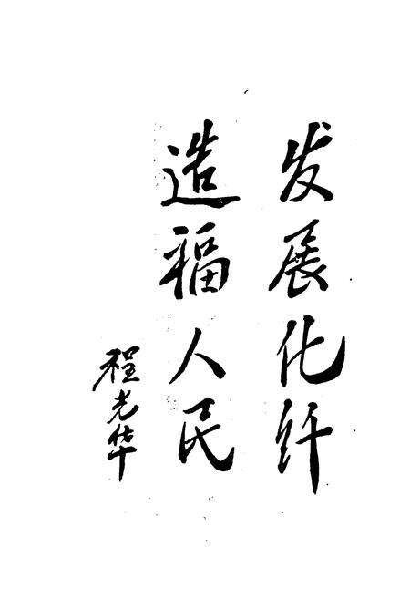 《铜纤二十年》.pdf_安徽省志预览图1