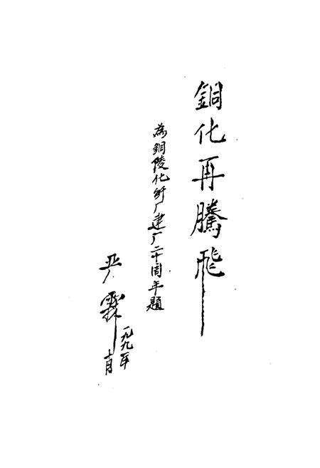 《铜纤二十年》.pdf_安徽省志预览图3