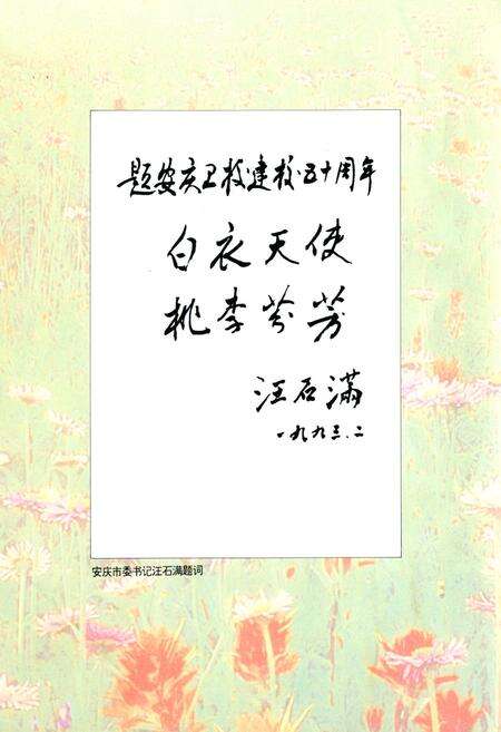 广西百色历史地图大全缩略图