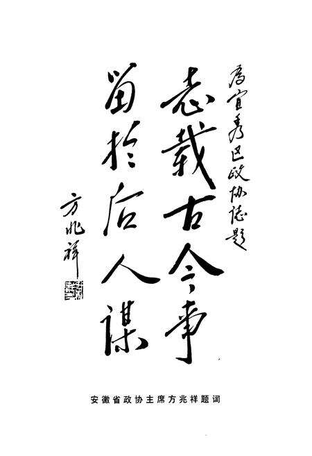 《安庆市宜秀区政协志(1987.5-2007.1)》.pdf_安徽省志预览图4