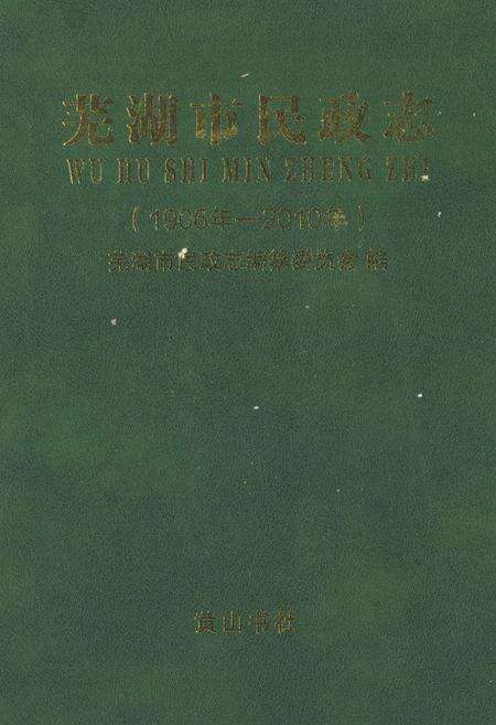 《芜湖市民政志(1906-2010)》.pdf_安徽省志缩略图