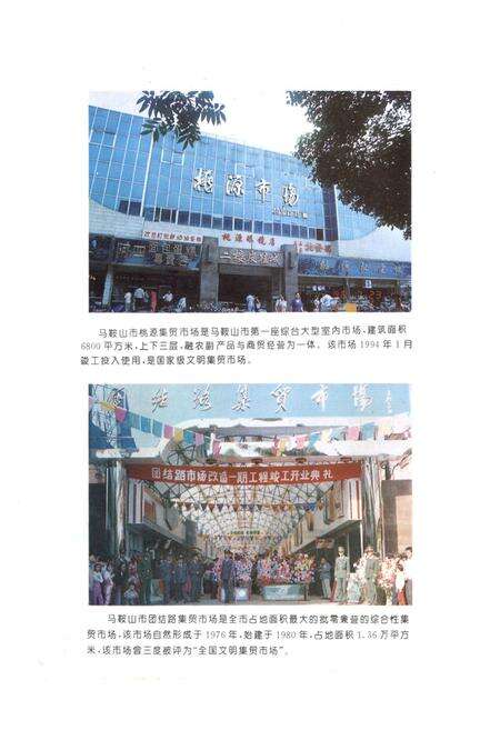 《《马鞍山市工商行政管理志》》.pdf_安徽省志预览图5