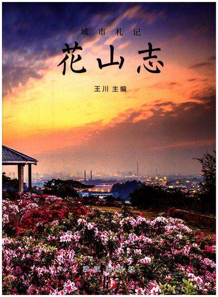 《城市札记 花山志》.pdf_安徽省志缩略图