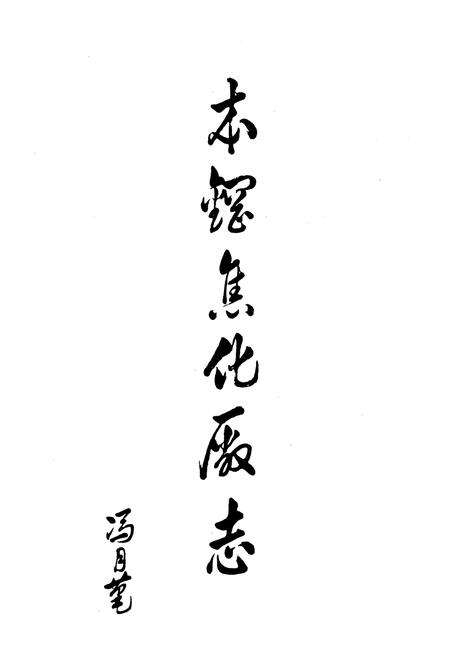 《本钢焦化厂志1936-1985》.pdf_安徽省志预览图5