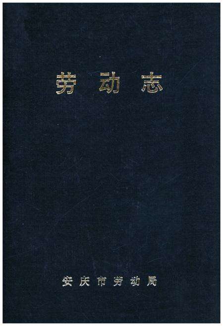 《劳动志》.pdf_安徽省志缩略图
