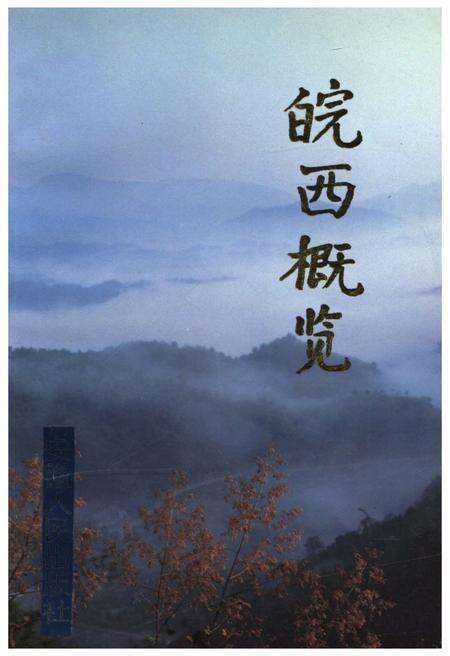 《皖西概览》.pdf_安徽省志缩略图