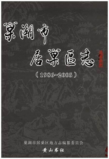 《巢湖市 居巢区志1986-2005》.pdf_安徽省志缩略图