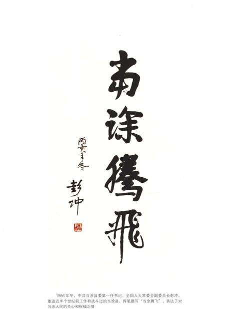 《当涂县志1978-2010》.pdf_安徽省志预览图3