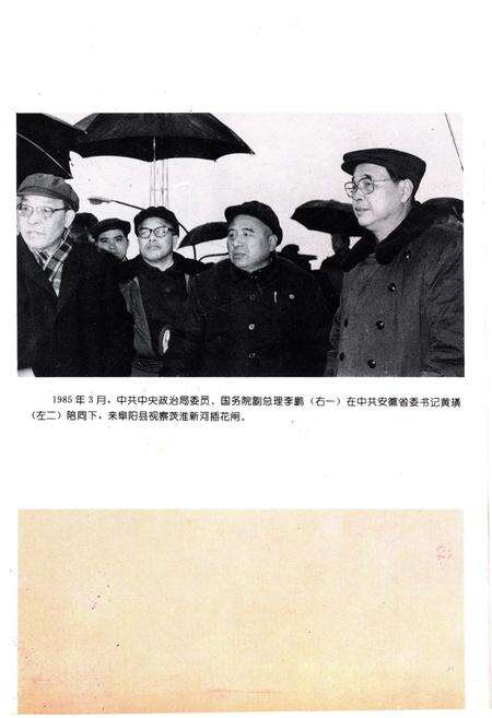《阜阳县志》.pdf_安徽省志预览图4