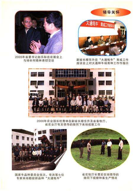 《大通种牛场志》.pdf_安徽省志预览图3