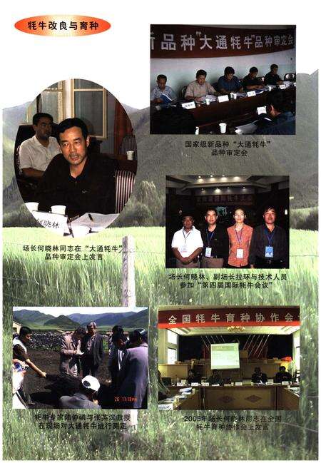 《大通种牛场志》.pdf_安徽省志预览图4