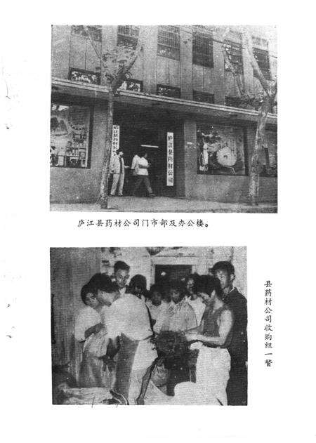 《庐江县药志》.pdf_安徽省志预览图3