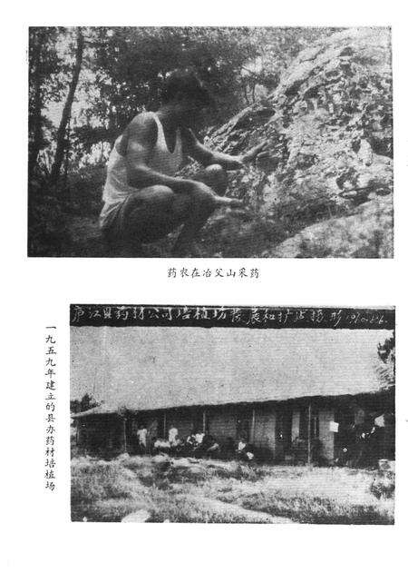 《庐江县药志》.pdf_安徽省志预览图4