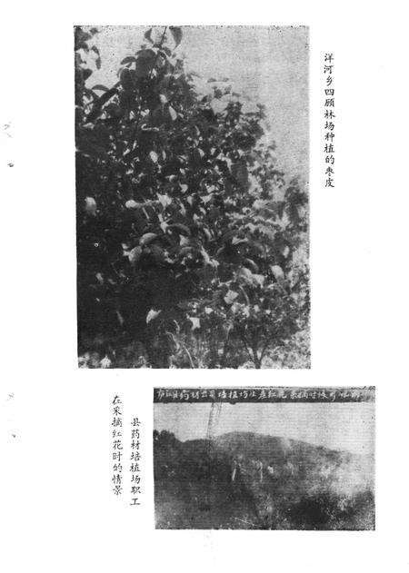 《庐江县药志》.pdf_安徽省志预览图5
