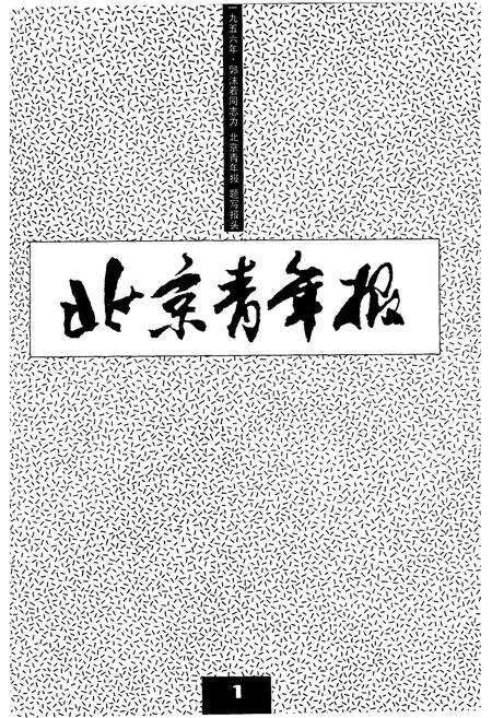 《志在潮头——北京青年报社史》.pdf_北京市志预览图3
