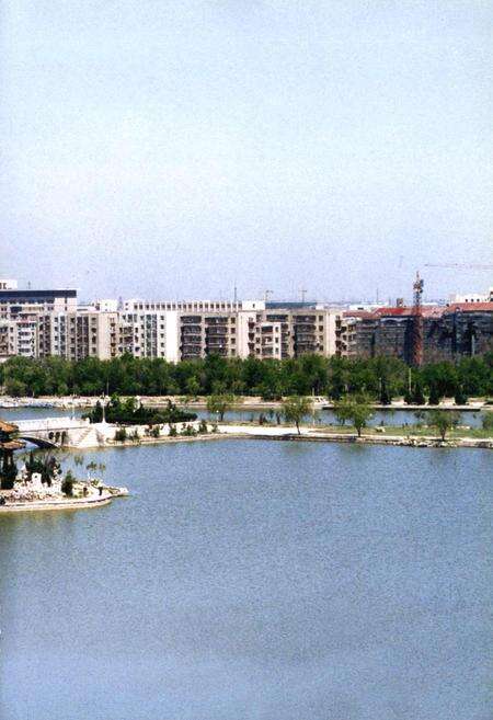 《石油大学校史》.pdf_北京市志预览图2