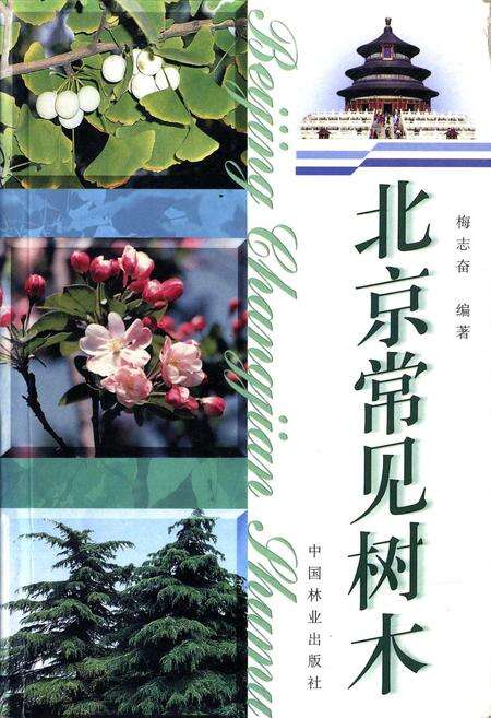 《北京常见树木》.pdf_北京市志缩略图