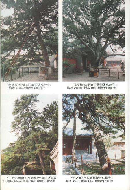 《北京郊区古树名木志》.pdf_北京市志预览图4