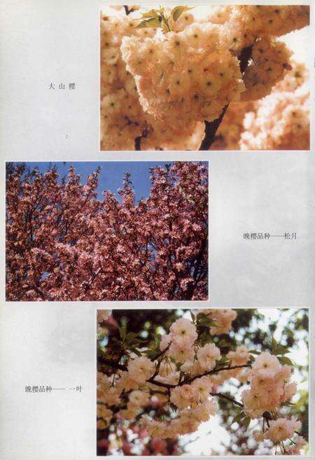 《玉渊潭公园志》.pdf_北京市志预览图3