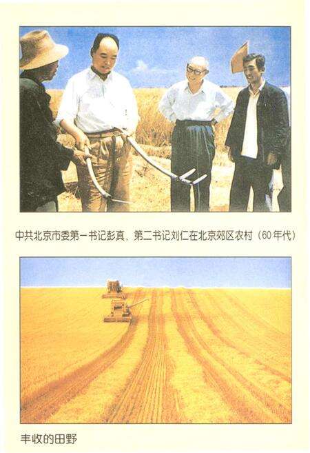 《北京种植业志》.pdf_北京市志预览图3