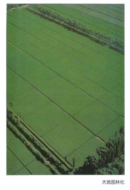 《北京种植业志》.pdf_北京市志预览图4