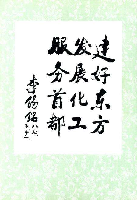 《开拓——北京东方化工厂十年志》.pdf_北京市志预览图5