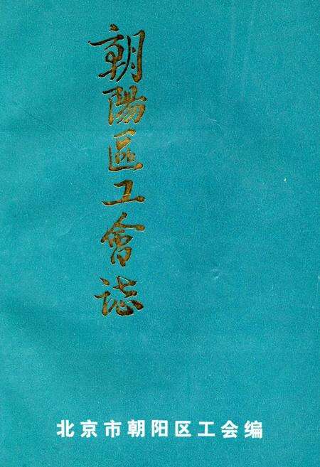 《朝阳区工会志》.pdf_北京市志缩略图