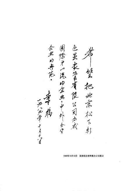 《北京·松下彩色显象管有限公司社志》.pdf_北京市志预览图2