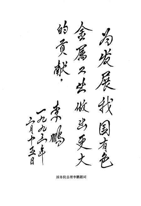 《壮志凌云北京有色金属研究总院志》.pdf_北京市志预览图2
