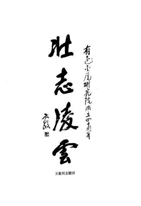 《壮志凌云北京有色金属研究总院志》.pdf_北京市志预览图4