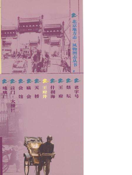 《北京地方志·风物图志 王府井》.pdf_北京市志预览图2