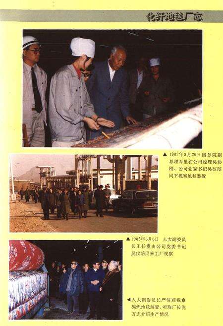 《化纤地毯厂志第一卷(1970~1990)》.pdf_北京市志预览图5