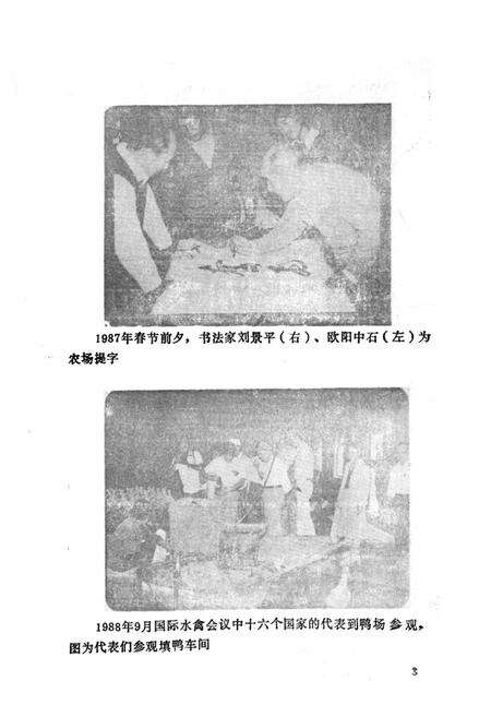 《老庄子乡志(卢沟桥农场志)1700-1990》.pdf_北京市志预览图4