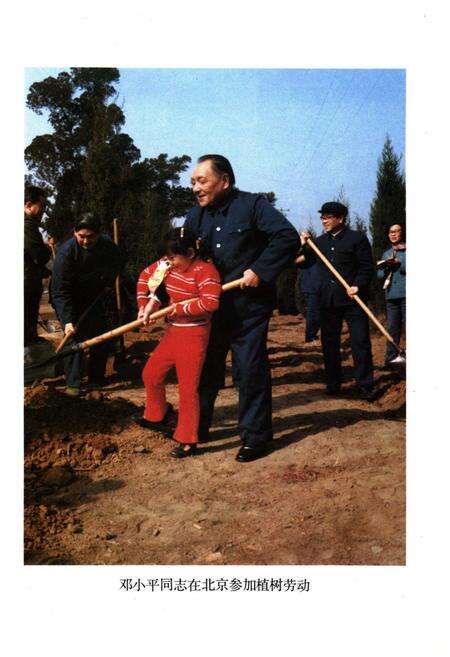 《当代北京园林发展史 1949-1985》.pdf_北京市志预览图1