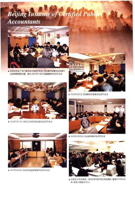 《北京注册会计师协会史料汇编 2003》.pdf_北京市志预览图5
