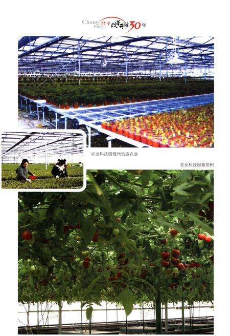 《昌平改革开放30年》.pdf_北京市志预览图5