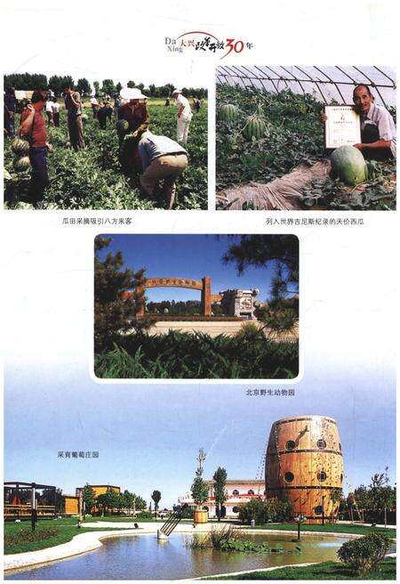 《大兴改革开放30年》.pdf_北京市志预览图4