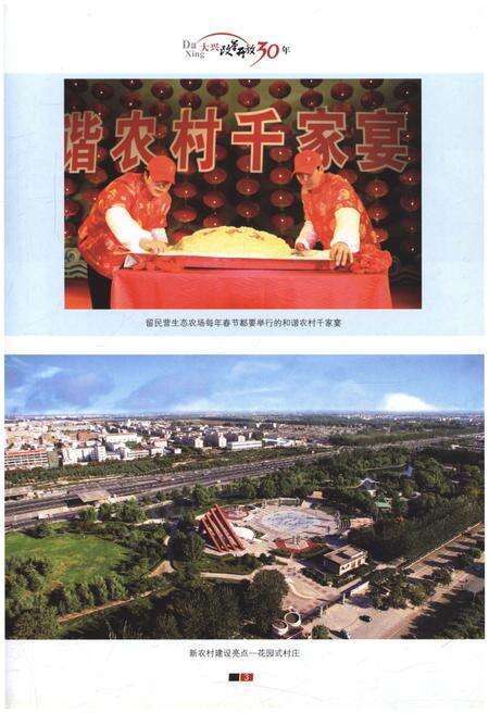 《大兴改革开放30年》.pdf_北京市志预览图5