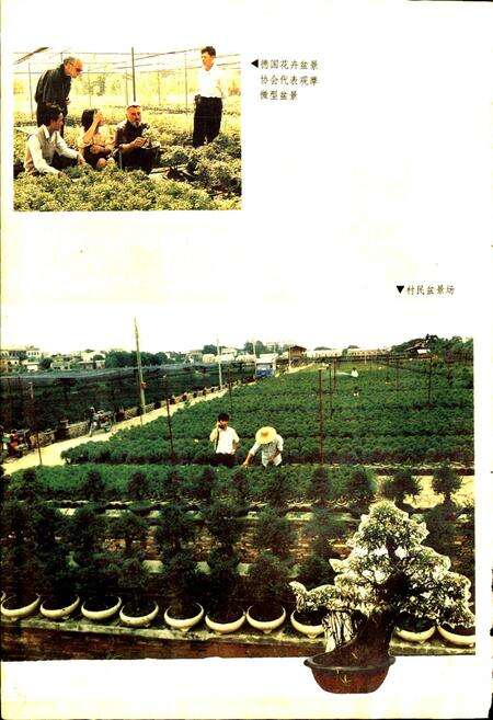 《广州市芳村区东漖镇志》.pdf_广东省志预览图5