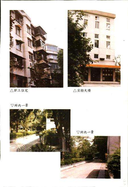 《广州半导体材料研究所所志 第一卷》.pdf_广东省志预览图5