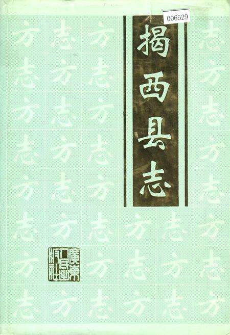 《揭西县志》.pdf_广东省志缩略图
