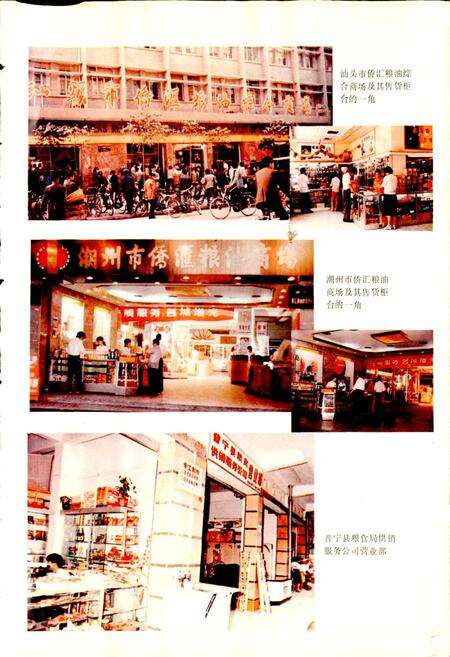 《汕头市粮食志》.pdf_广东省志预览图5