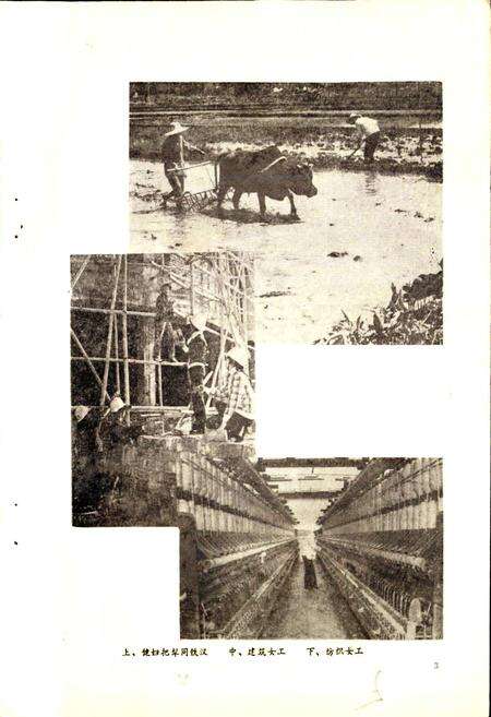 《梅州妇女志》.pdf_广东省志预览图5