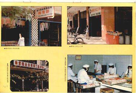 《龙川县商业志》.pdf_广东省志预览图5