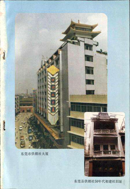 《东莞供销合作联社志》.pdf_广东省志预览图4