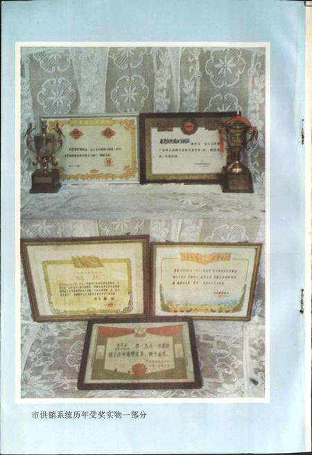 《东莞供销合作联社志》.pdf_广东省志预览图5