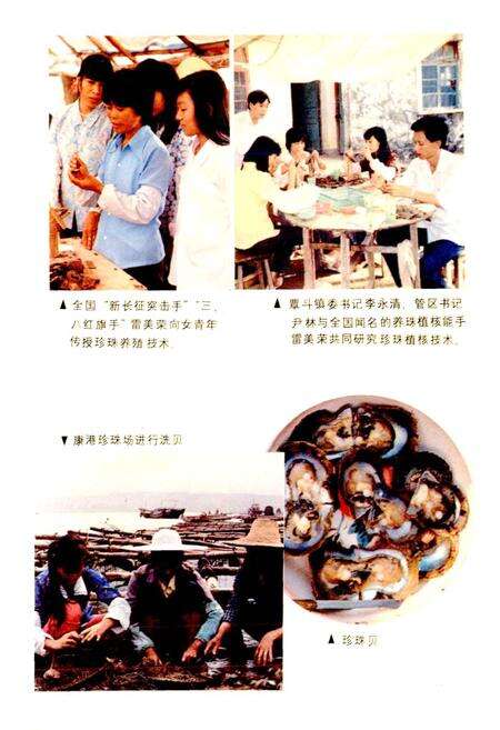 《海康珍珠志》.pdf_广东省志预览图4