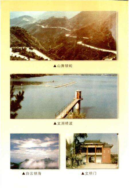 《信宜市文物志》.pdf_广东省志预览图4